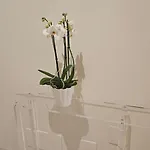 Appartement Casa Ciseri